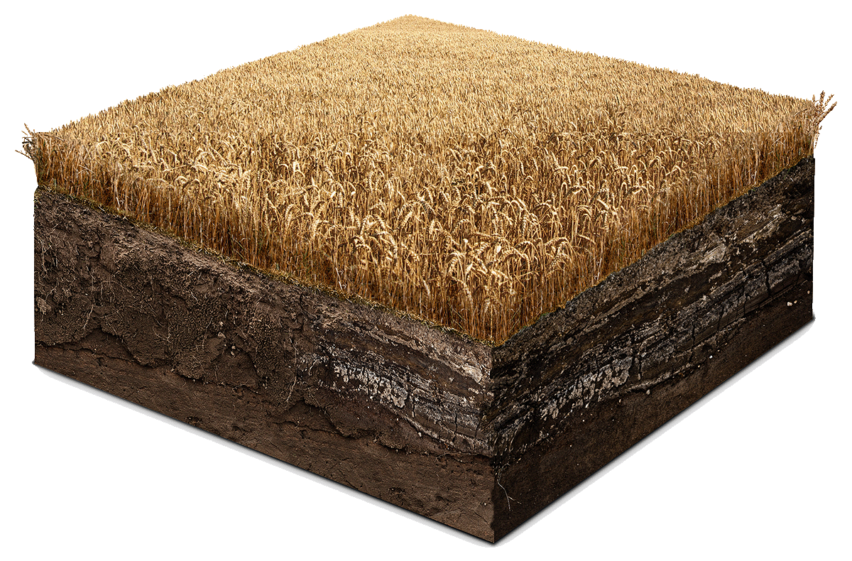 Ein schwebendes Stück Acker